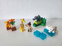 Lego Duplo 4962 Baby Zoo Hessen - Kassel Vorschau