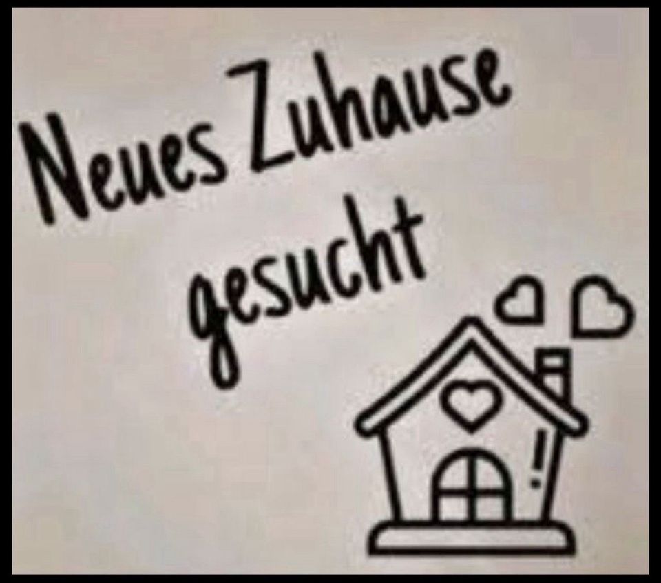 Wohnung gesucht zum 1.7 oder später in Lüneburg