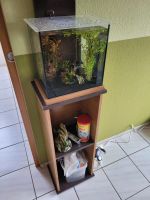 20l Aquarium zu verkaufen Baden-Württemberg - Oberstenfeld Vorschau