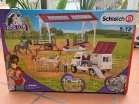 Schleich- Set Fitness-Check 72140 Pferde Rheinland-Pfalz - Böhl-Iggelheim Vorschau