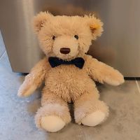 Steiff Teddybär, *Edition 022371* Essen - Essen-Ruhrhalbinsel Vorschau