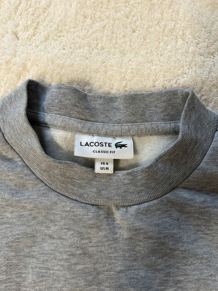 Lacoste Pulli in Bünde