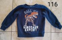 Pullover Dinosaurier Gr. 110 116 Wendepailletten Bayern - Buttenwiesen Vorschau