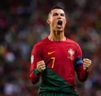 Portugal Training Gütersloh Brandenburg - Frankfurt (Oder) Vorschau