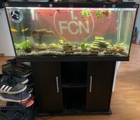 Aquarium komplett 180L Hessen - Hanau Vorschau