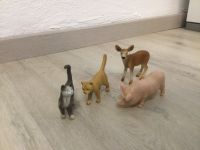 Schleich Schwein Katze Reh Bochum - Bochum-Mitte Vorschau