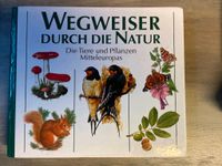 Buch Wegweiser durch die Natur Hessen - Hessisch Lichtenau Vorschau