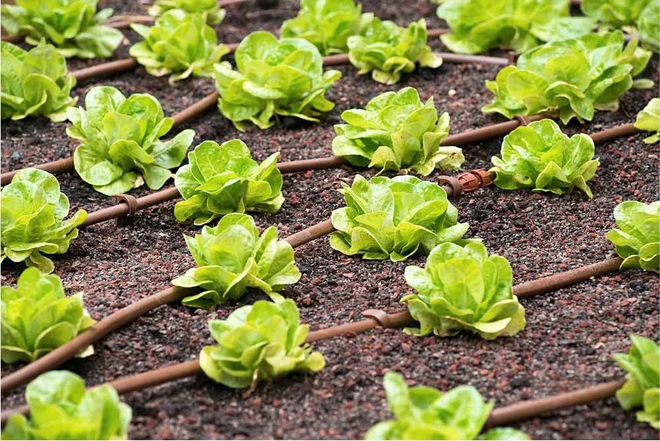 Bewässerungsanlage I Bewässerungssystem I Gartenbewässerung I Rasenbewässerung I Smarte Bewässerung in Steinach b. Straubing