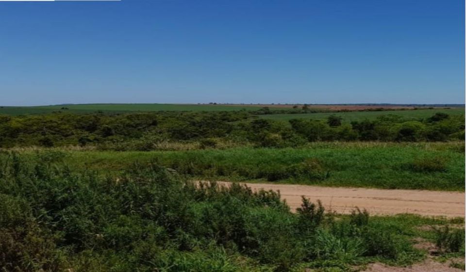 10.000 ha Grundstück mit 2 Häuser und vieles mehr in Caaguazu in Zossen-Zesch am See