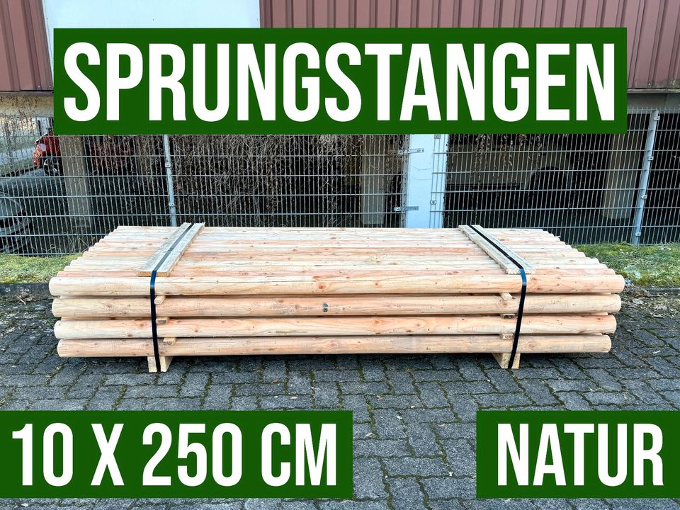 Sprungstange Hindernisstangen Hindernis Holz - 10 x 250 - NATUR in Lennestadt