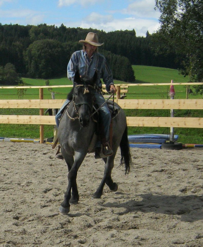 Mobiler Reitunterricht Horsemanship Reitweisen Übergreifend in Eching