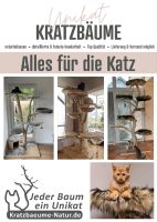Natur Kratzbaum, Katzenbaum, jeder Baum ein Unikat, top Qualität Bayern - Scheßlitz Vorschau