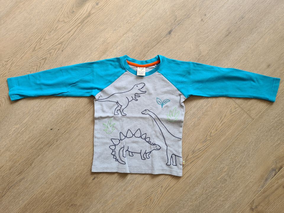 Frugi, Langarmshirt, Dino, 110-116 in Netphen