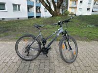 Damen-/Jugendfahrrad Conway Hamburg-Mitte - Hamburg Hamm Vorschau