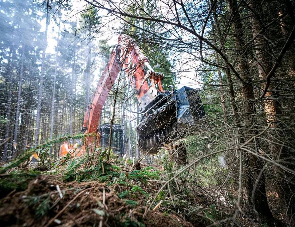 Mulcharbeiten, Forstmulchen, Rodung in Reiskirchen