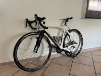 Pinarello Carbon Rennrad Baden-Württemberg - Göppingen Vorschau