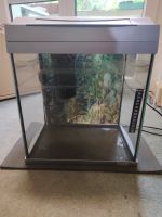 30 Liter Aquarium von Tetra, Aquascamping, Aufzucht Duisburg - Duisburg-Mitte Vorschau