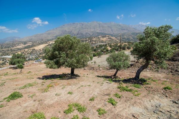 Kreta Triopetra Grundstück mit Meerblick in der Nähe von Agios Pa in Wuppertal