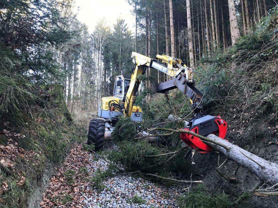 Baumfällung, Rodungen, Wald- & Forstarbeiten, Landschaftpflege in Bad Schussenried