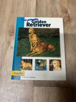 Buch : Mein gesunder Golden Retriever Brandenburg - Fürstenwalde (Spree) Vorschau