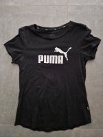 Puma Tshirt gr 40 Frauen Hessen - Witzenhausen Vorschau