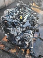 Motor Mazda 3 5 CX3 CX5 6 SH SH01 2.2 Citd 150ps 174ps Biturbo Berlin - Wilmersdorf Vorschau