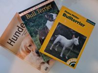 Hunde Bullterrier Bücher Düsseldorf - Flingern Nord Vorschau