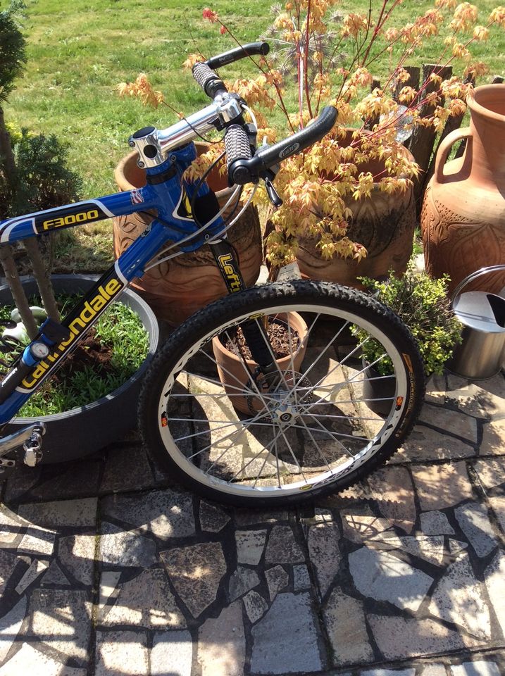 Cannondale f3000 best sale sl
