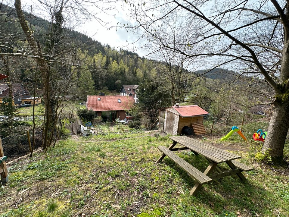 Gemütliches Ferienhaus in der idyllischen Bergstadt Lautenthal in Lautenthal