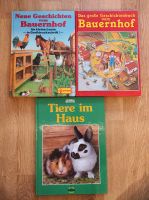Tier Bauernhof Dino Bücher Paket set kind kinder buch Spielzeug Saarland - Saarlouis Vorschau