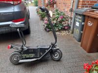 TWIP electric Scooter Isotta Made in Italy Schleswig-Holstein - Rieseby Vorschau