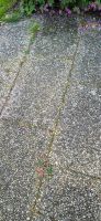 Waschbetonplatten Gehwegplatten Waschbeton Gartenplatten Niedersachsen - Wetschen Vorschau