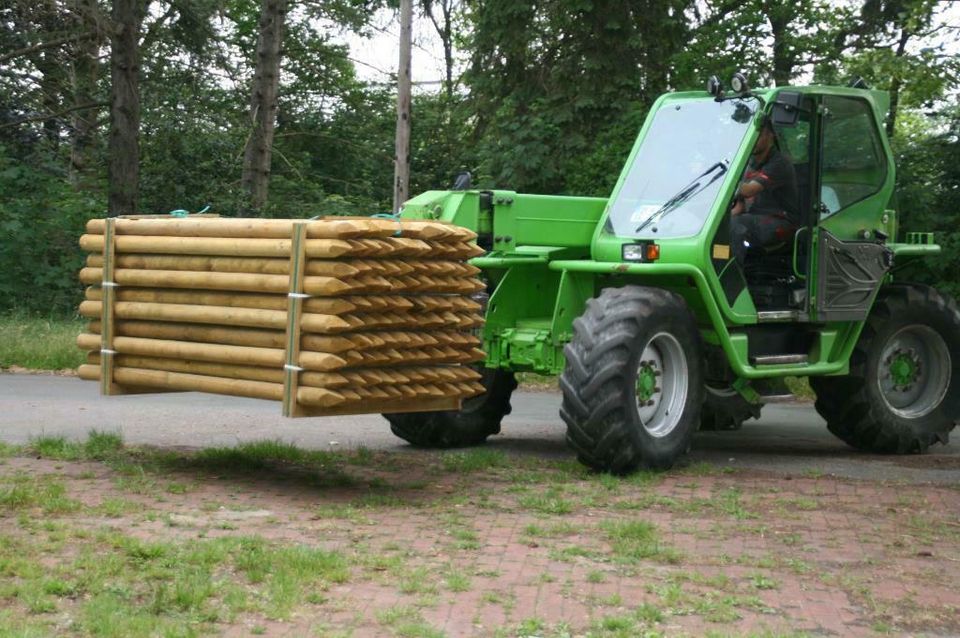 Zaunpfähle - Baumpfähle - Holzpfähle - 10 x 250 cm - imprägniert in Wagenfeld