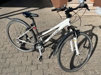 Crossbike Diamant Pacer fun 28Zoll Nordrhein-Westfalen - Bornheim Vorschau