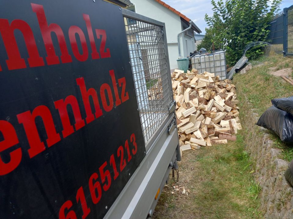 44 Rm Brennholz Stammholz Kaminholz Buche Birke Eiche in Schmalkalden