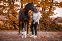 Pferdephysiotherapie | Pferdephysiotherapeutin Nordrhein-Westfalen - Selm Vorschau