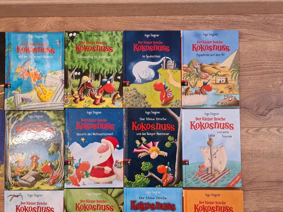 14 x Drache Kokosnuss Bücher u.a. Mumie, Schule, Dino, Spukschloß in Eichenau