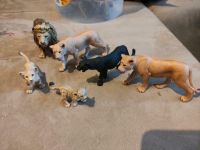 6 Schleich Tiere Raubkatzen Schleswig-Holstein - Boksee Vorschau