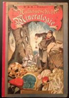 Naturgeschichte Mineralogie altes Buch von ca 1888 Sachsen-Anhalt - Möser Vorschau