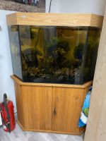 Aquarium 300 Liter Komplettset Hessen - Trendelburg Vorschau