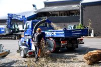 Gartenhäcksler Miete für Hilgert Rheinland-Pfalz - Hilgert Vorschau