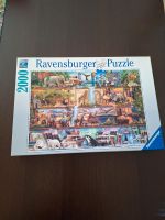 Puzzle 2000 Teile Ravensburger Niedersachsen - Buxtehude Vorschau