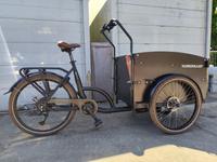 BBF Bafang Lastenrad E-Bike Seattle ECO 7-Gang TOP Niedersachsen - Melle Vorschau