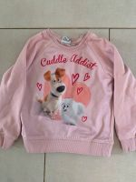 Sweatshirt Pulli Secret Life Of Pets 110 Bayern - Schwanstetten Vorschau