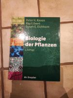 Biologie der Pflanzen Raven 4.Auflage Bonn - Auerberg Vorschau