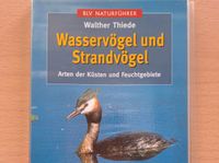 Wasservögel und Strandvögel Baden-Württemberg - Tettnang Vorschau