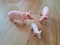 Schleich Schweine Set Sachsen-Anhalt - Blankenburg (Harz) Vorschau