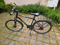 Pegasus Solero Disc Sl 24-Gang Herren Trekkingrad Hessen - Bad Vilbel Vorschau