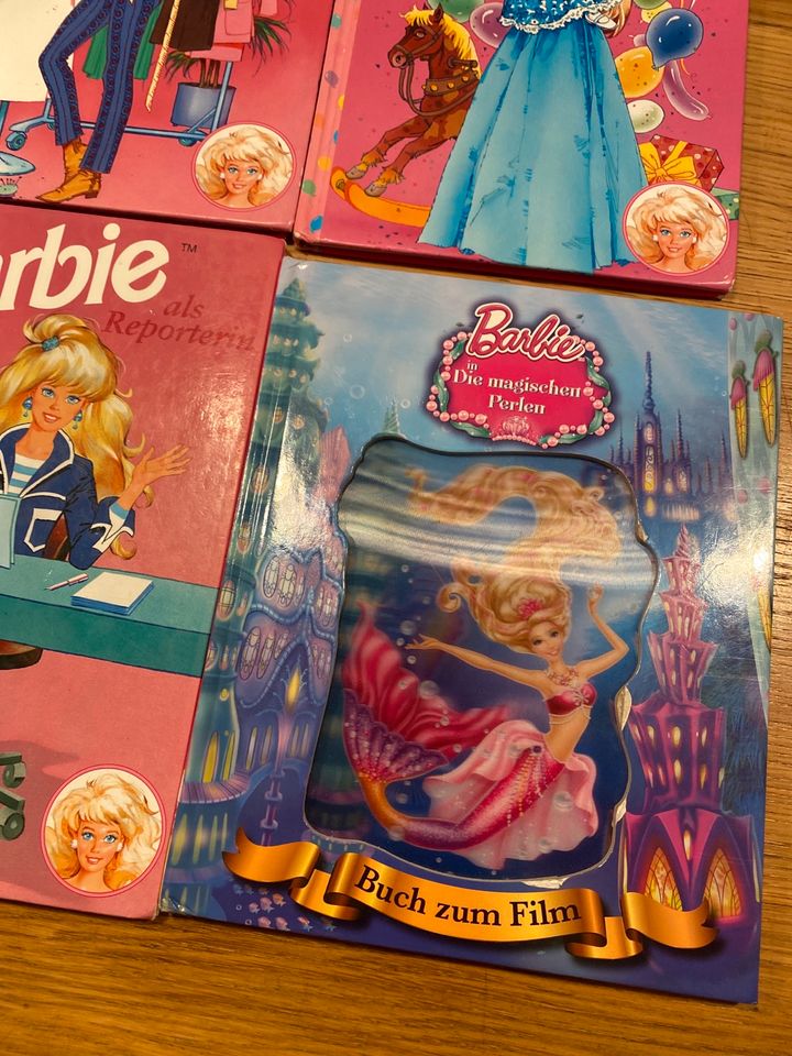 11 Barbie Bücher zus. 10€ Meerjungfrau Ballerina Rockstar Shelly in Schleiden