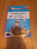 Erstlesegeschichten für Jungen / 1. Klasse Dresden - Seevorstadt-Ost/Großer Garten Vorschau